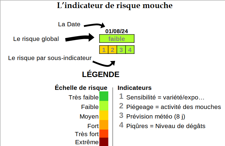 indicateur de risque mouche 1 aout 24.png